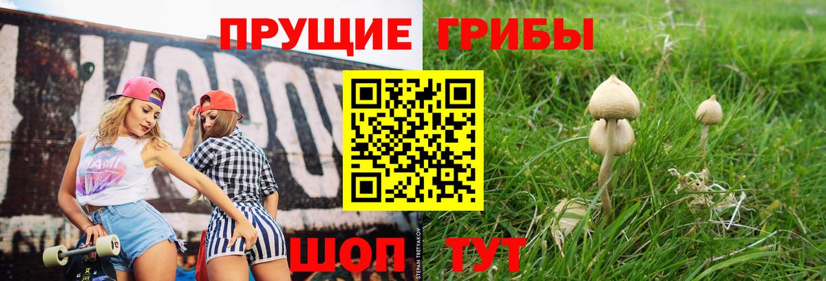 Галлюциногенные грибы Psilocybe Мариинск